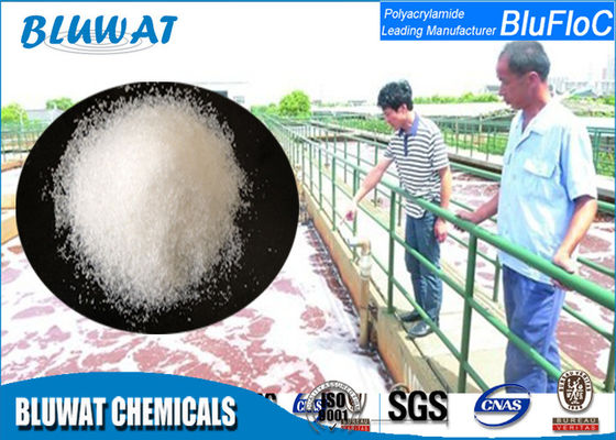acheter Polyacrylamide de cation de produits chimiques de Bluwat pour le traitement de papier/lavage de mine de charbon fabrication en ligne