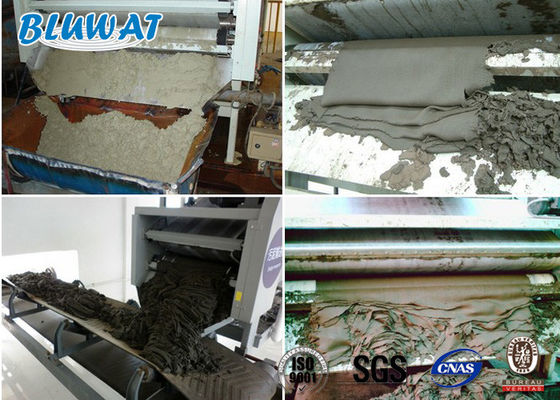 acheter Déschlammez GV cationique de asséchage BV du polyacrylamide CPAM Blufloc a délivré un certificat fabrication en ligne