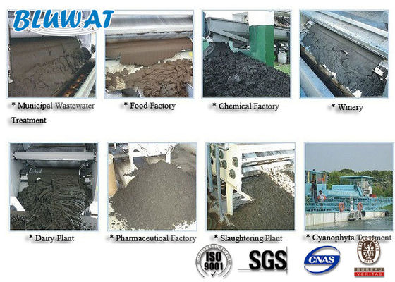 acheter Polyacrylamide cationique de poudre blanche pour l'asséchage de boue fabrication en ligne