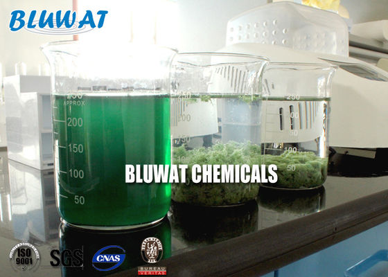 acheter Textile de Sri Lanka de coagulant d'agent de Decolouring de l'eau teignant le traitement effluent de couleur fabrication en ligne