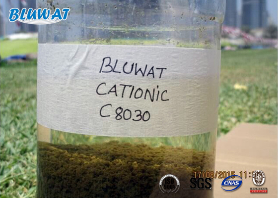 Traitement de asséchage de floculant de boue cationique biologique de polyacrylamide