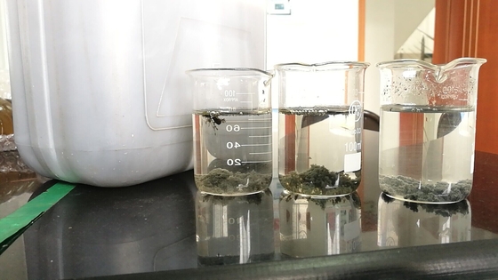 Polyacrylamide cationique CAS de traitement des eaux résiduaires aucune certification de GV 9003-05-8