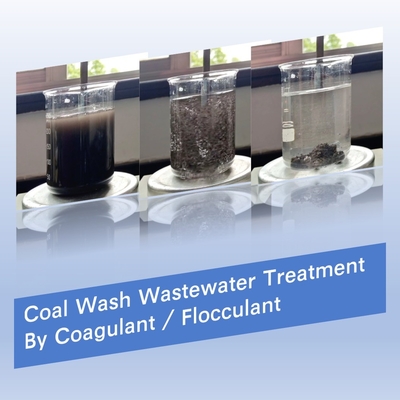 Floculant de polyacrylamide de produits chimiques de Bluwat de polymère de traitement des eaux résiduaires de lavage de charbon