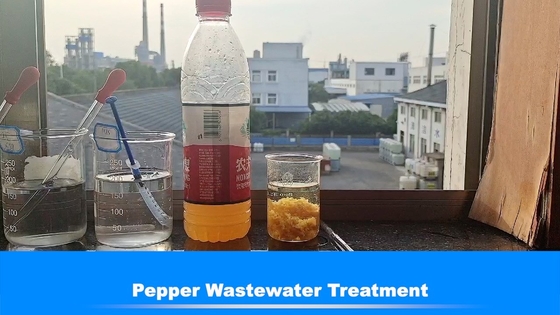 Agent de processus Wastewater Treatment de Bluwat Decoloring de poivre de nourriture de 50%