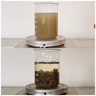 Agent effluent Coagulant Color Remove de Decolor de produits chimiques de traitement de fabrication du papier 55295 98 2