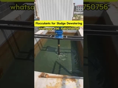 Polyacrylamide Floculant Polyelectrolyte Traitement de l'eau