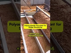 Polymères Bluwat Polyacrylamide utilisé dans la déshydratation des boues