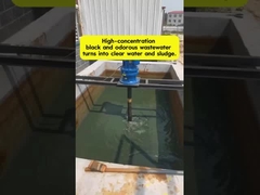 Transformer les eaux usées à odeur noire en eau claire.