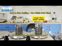 PAM Flocculant: lequel dépose plus vite les boues?