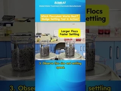 Le défi des floculateurs: lequel s'installe le plus vite?